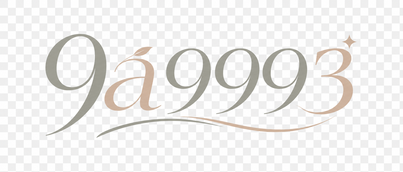 9a9993